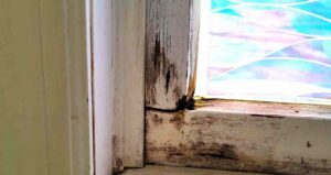 Cost To Replace A Rotted Window Frame